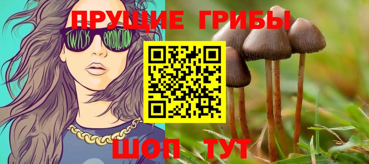 Галлюциногенные грибы прущие грибы Красноармейск