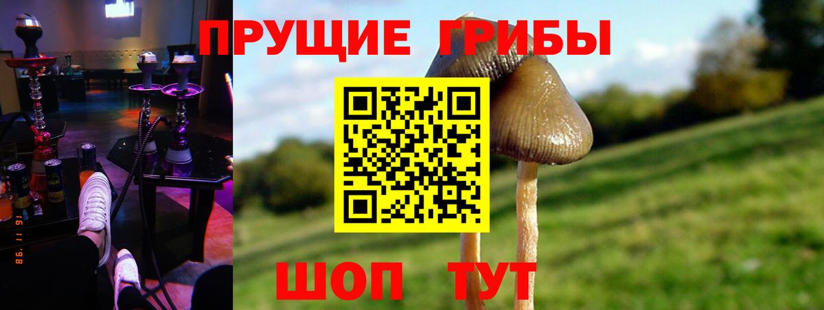 Псилоцибиновые грибы Psilocybe  Псилоцибиновые грибы мицелий  Красноармейск  Вход с VPN 